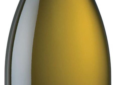 13 Celsius Sauvignon Blanc 2020 Online Hot Sale